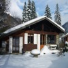 Одноэтажный дом в альпийском стиле