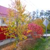 Осеннее многообразие красок. Осень в Горячем Ключе.