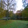 Осенний пейзаж. Листва, ковер травы, тихое озеро- они прекрасны в своем безмолвии
