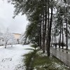Первый снег не Кубани. Центральная улица и снегопад.