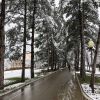 Отголоски зимы в городе. Снег на Кубани.