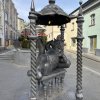 Сам захотел быть таким толстым котом 